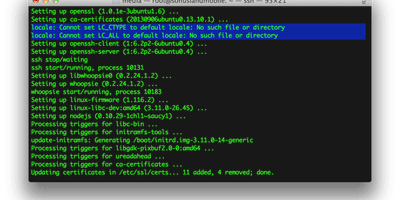 Cómo prevenir el envío de la configuración de 'locale' en Mac vía SSH